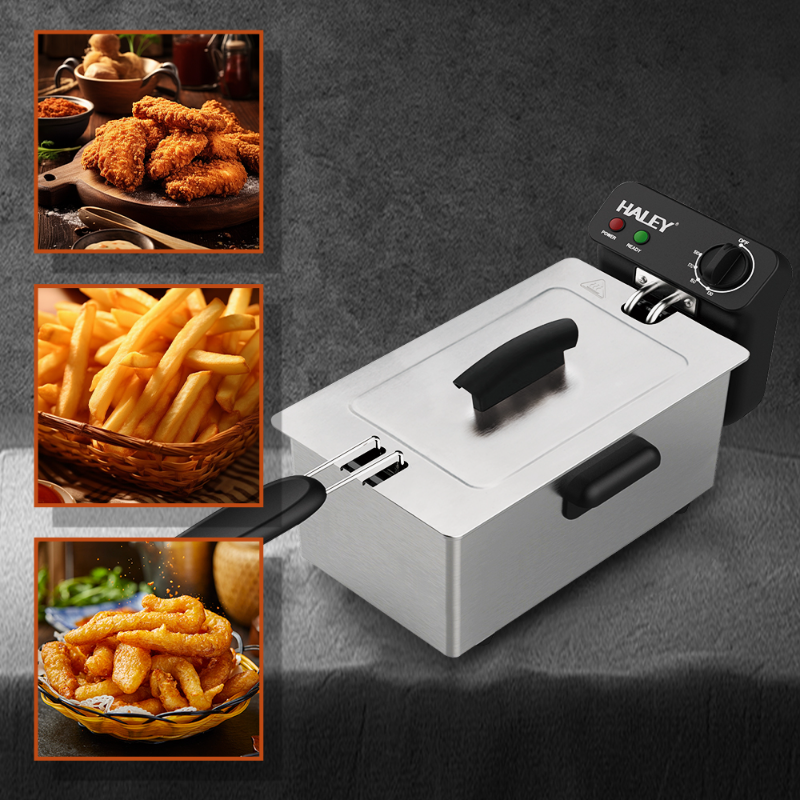 Friteuza Electrica HALEY HY-2504, Garantie 3 Ani, 2000W, Capacitate 3L, Termostat Reglabil, Inox Premium, Argintiu