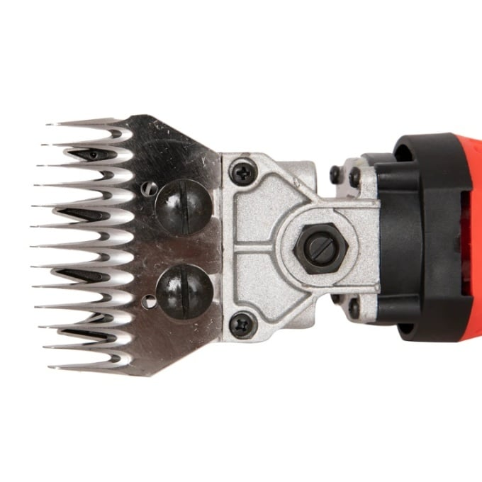 Masina de tuns oi profesionala 1000 JAPAN, 1000W, 2400RPM, variator turatie, accesorii incluse, carbuni rezerva